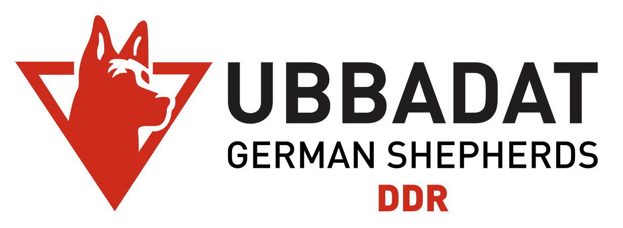 logo-ddr-ubbadat