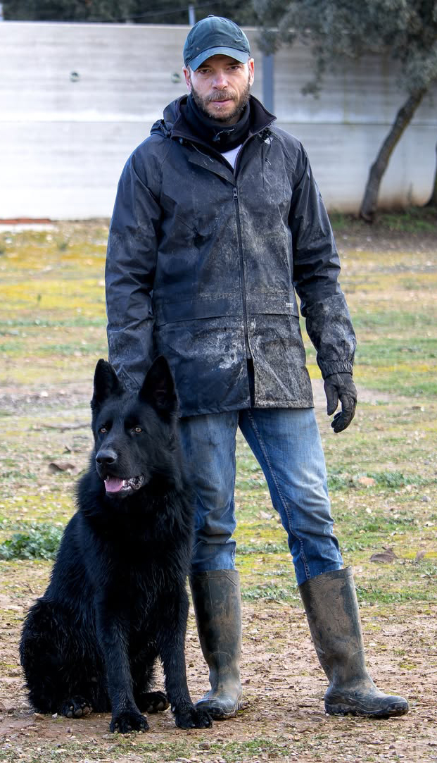 DDR German shepherd export