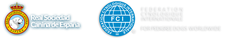 Logos-RSCE-y-FCI